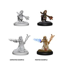 Nolzur's Marvelous Miniatures - Gnome Wizard